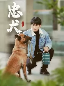 忠犬（短剧版）